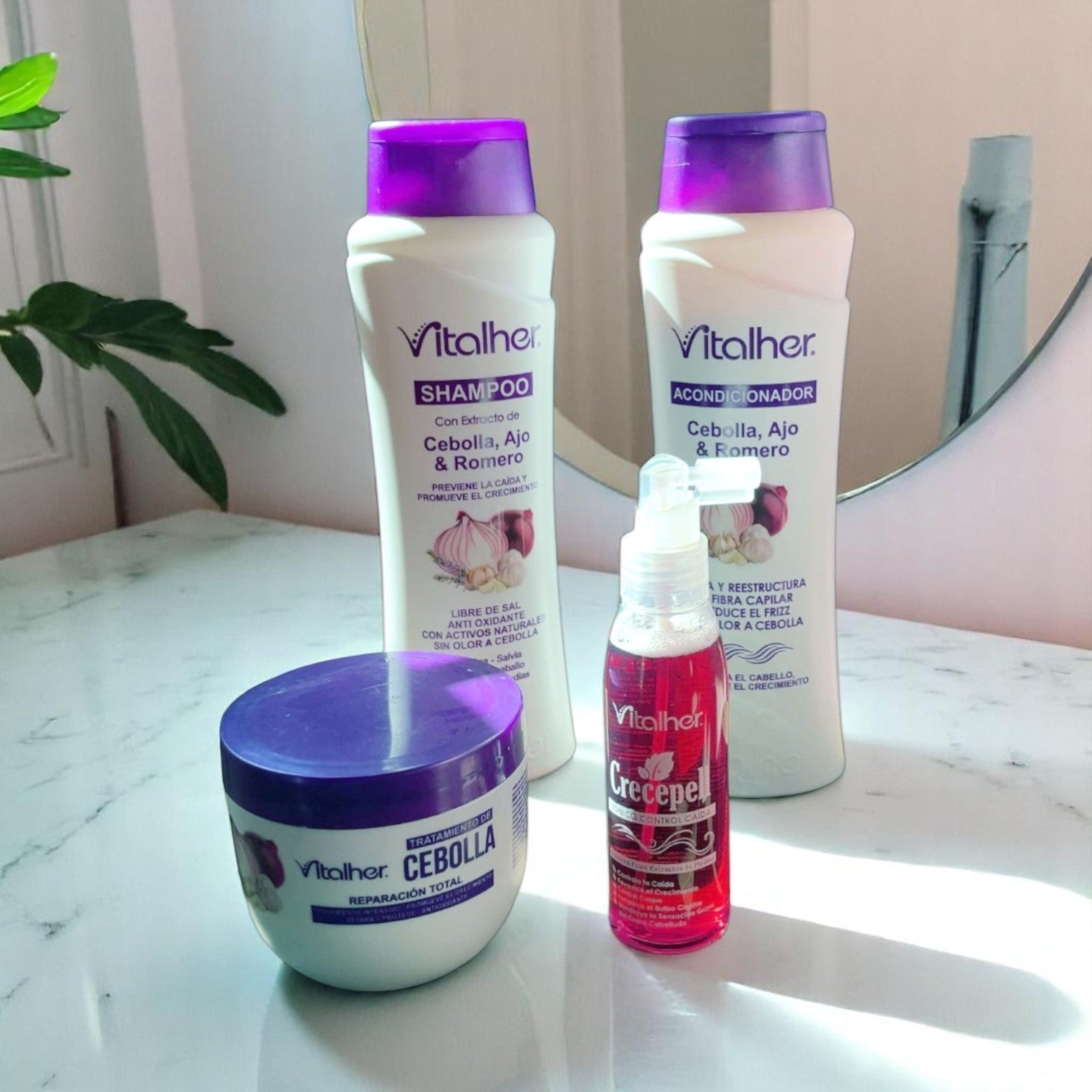 Kit Anticaída de Cebolla x350 mL