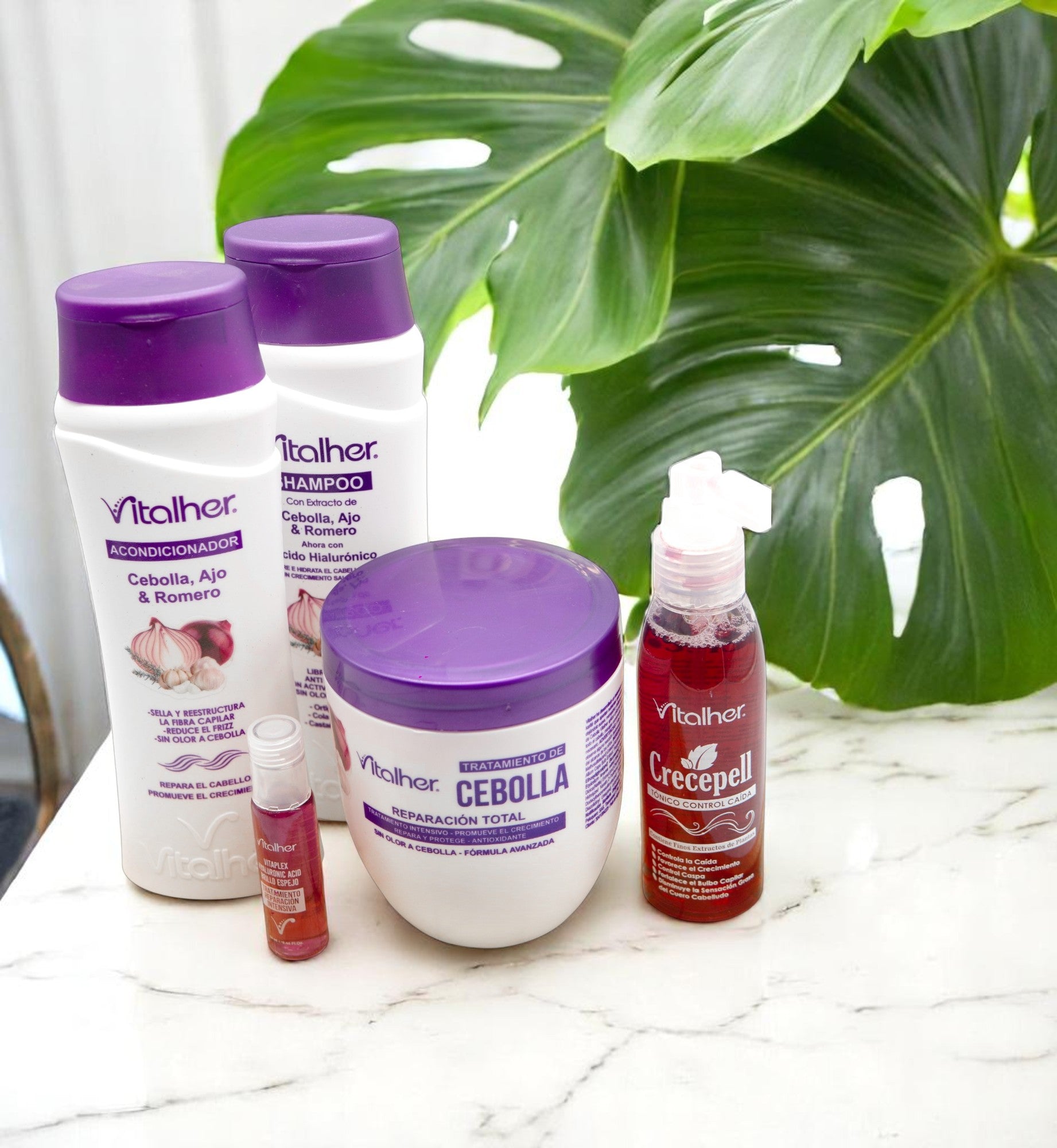 Kit Anticaída de Cebolla 650 mL + Ampolleta